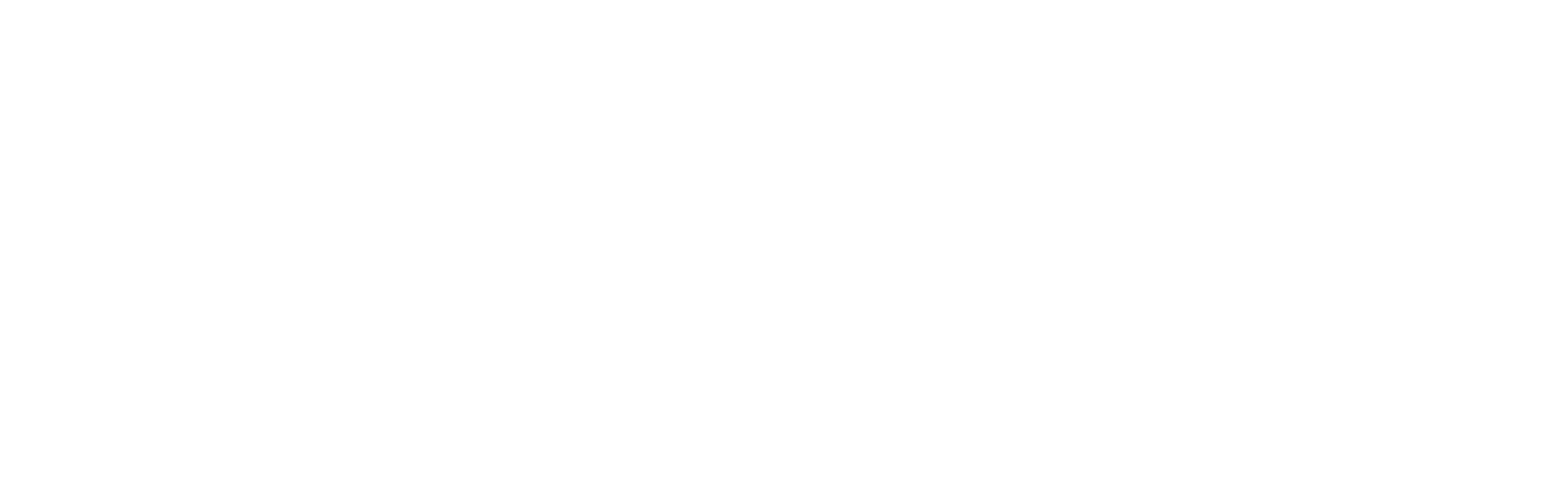 Check Point logo